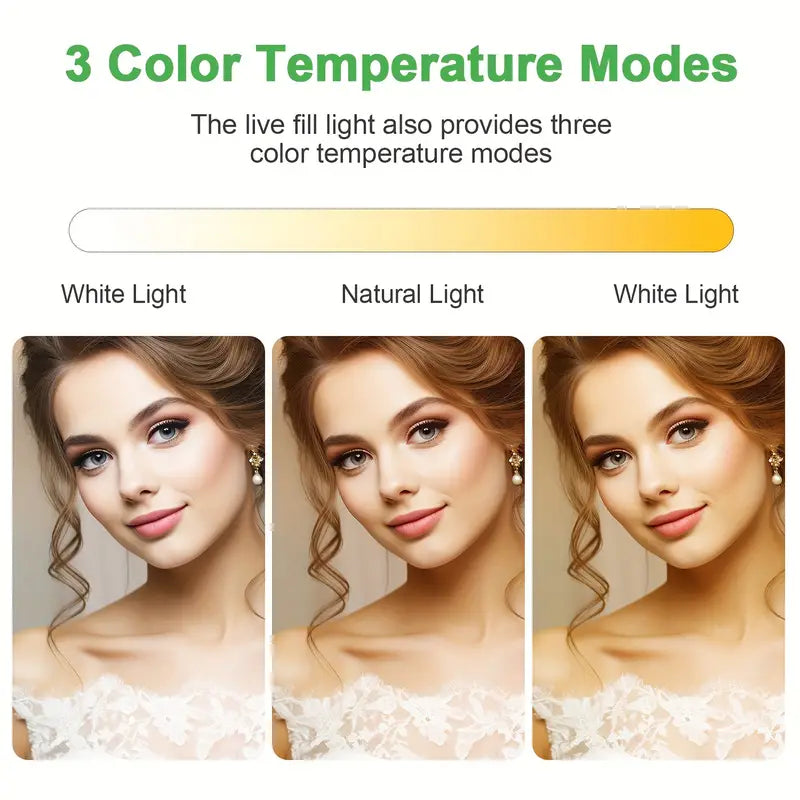 Juego doble de luces led para grabación